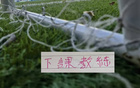前北京国安主帅连续三年下课 老牌球队都调解不好 再当救火队长更难